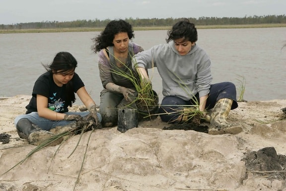 young, women, ready, plant, marsh, grass, mud, ground, river