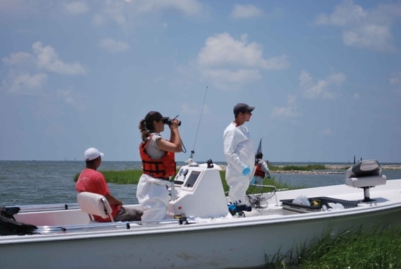 fisheries, biologists, search, birds, fast, boat