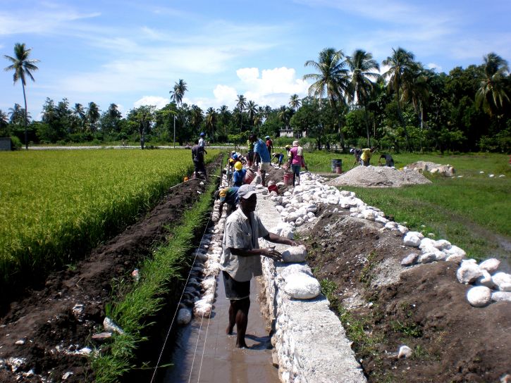haitiano, trabalhadores, construção, irrigação, canal