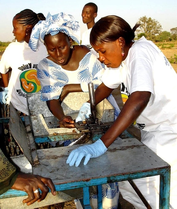 locales, Senegal, ciudadanos, demostrar, la técnica, el procesamiento, castañas de cajú