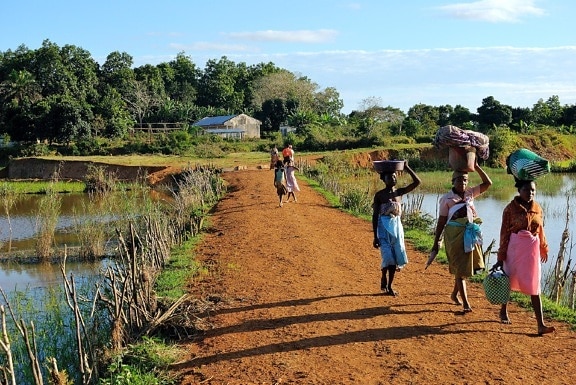 Madagascar, pessoas, trabalhando