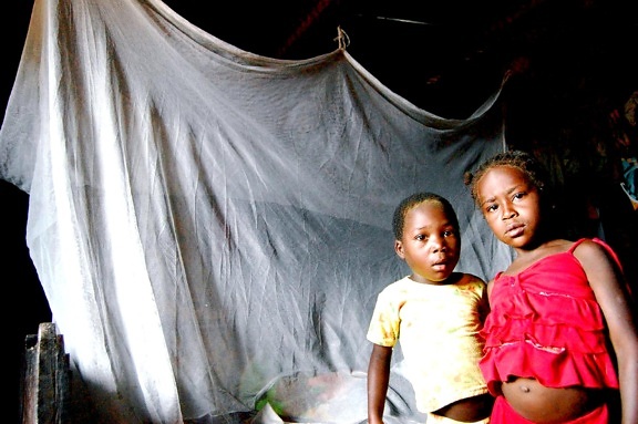 la malaria, la comunidad, el proyecto, la cama, las redes