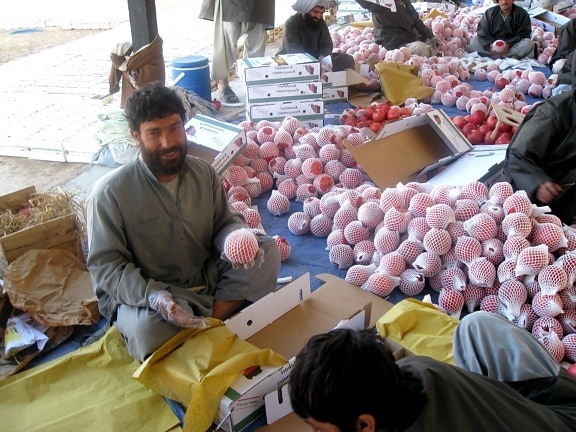 afghanistan, Bauern, Sortierung, Verpackung, pomegranates