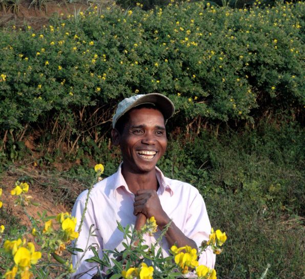Africano, uomo, sorriso, fiorito, campo