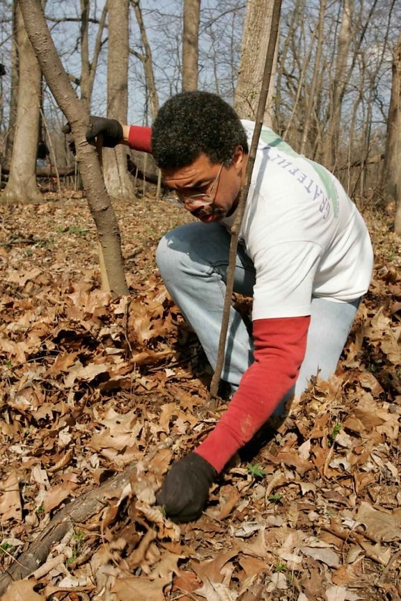 Homem afro americano, trabalho, floresta