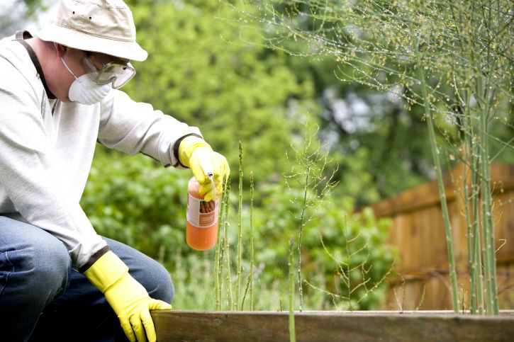 Lesen Anweisungen, ein Mann, Pestizid-Spray