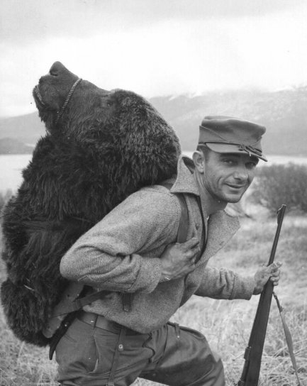 bear, hunter, Kodiak