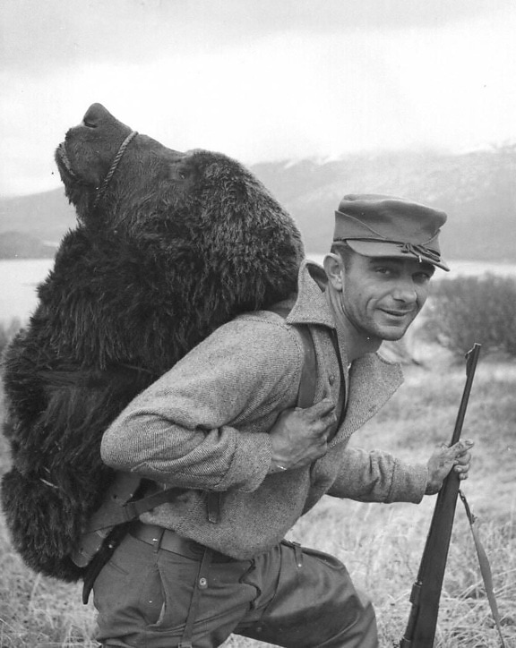 medve, vadász, Kodiak