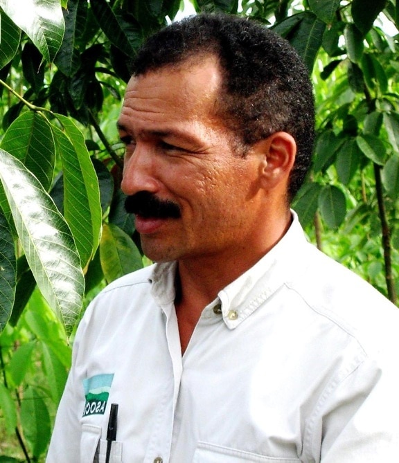 colombia, caoutchouc, arbre, agriculteur, homme, photo