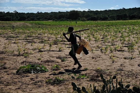 drought, affects, health, farming, Madagascar