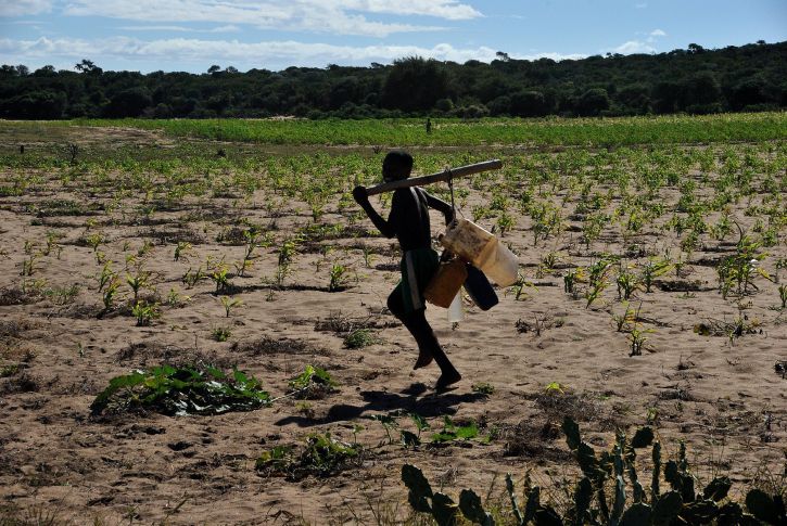 tørke, påvirker, sundhed, landbrug, Madagaskar