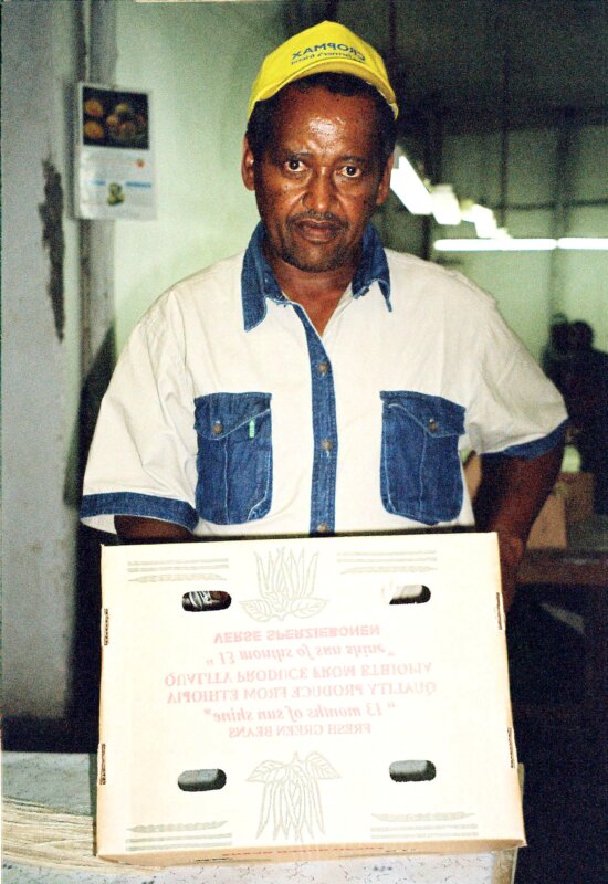 ethiopian, man, displays, packaging, boxes, store, green, beans, export, Europe