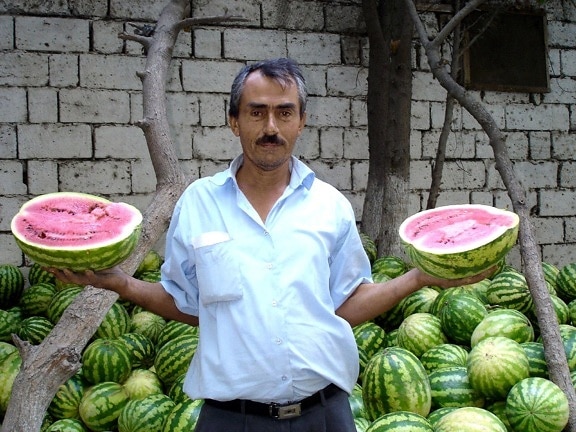 farmer, navigates, tricky, watermelon, market, Azerbaijan