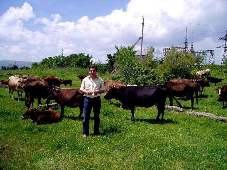 granjero, con orgullo, espectáculos, ganado, privatizado, granja, Gardabani, Tiflis, Georgia