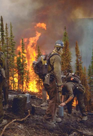 hasiči, boj, lesní požáry