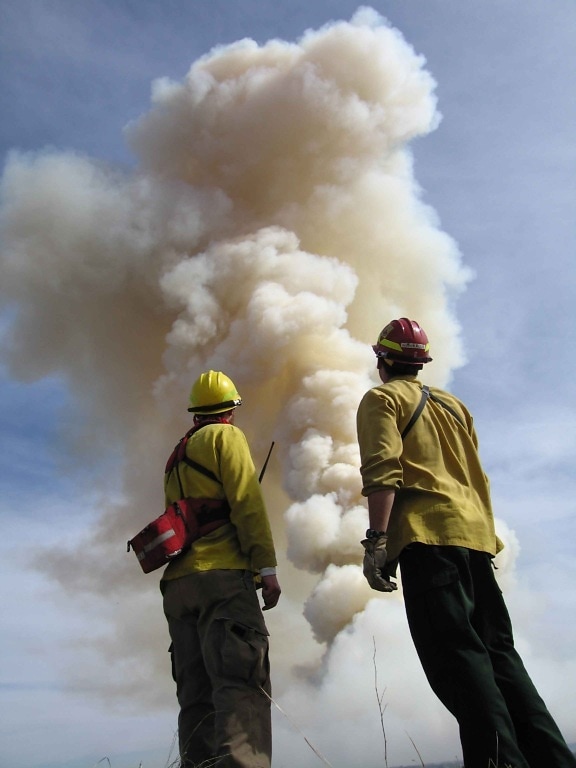 πυροσβέστες, στέκονται, εμπρόσθιο μεγάλος, φωτιά, καπνός