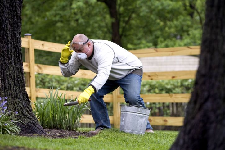 Gartenarbeit, nützlich, Aktivität, Umwelt, teilnehmen, Übung
