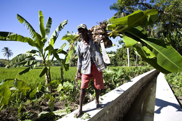 haitiano, agricultor, andar, drenagem, canal, Haiti