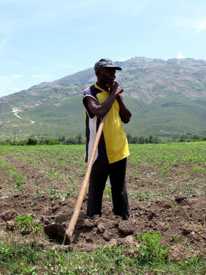 haitian, man, works, field