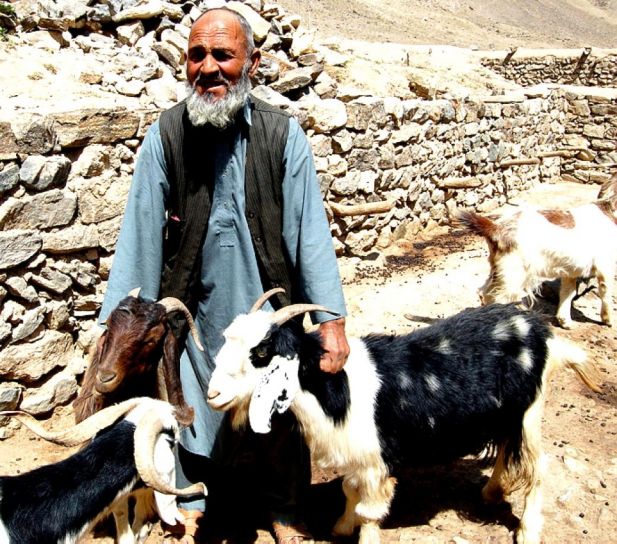 khodaar, pastevec, obec, Sumdara, Badachšán