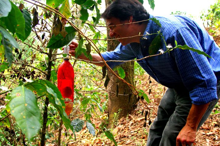 человек демонстрирует, органические, кофе, фермы, использует, пластик, напитки, бутылки, окрашены в красный цвет,