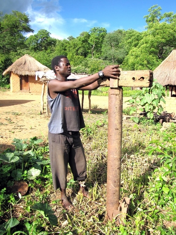 uomo, scavare, poco profondo, bene, cantieri, acqua, Zimbabwe