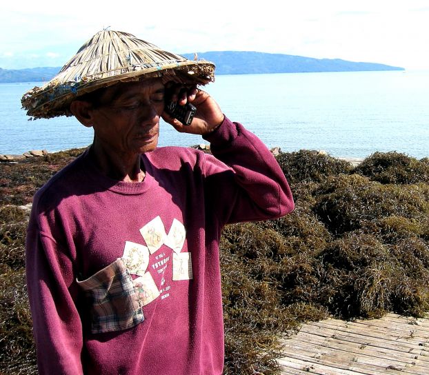 Free picture: man, Philippines, cell, phone, check, market, price, seaweed