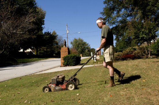 man, mowing, lawn, push, lawnmower, grass