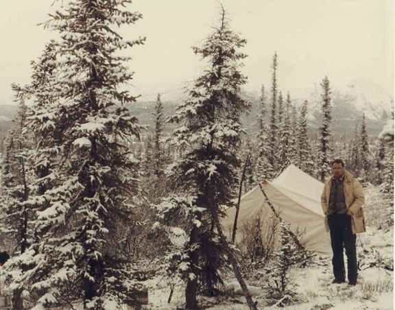 uomo, in piedi, tenda, boschi, inverno, campeggio