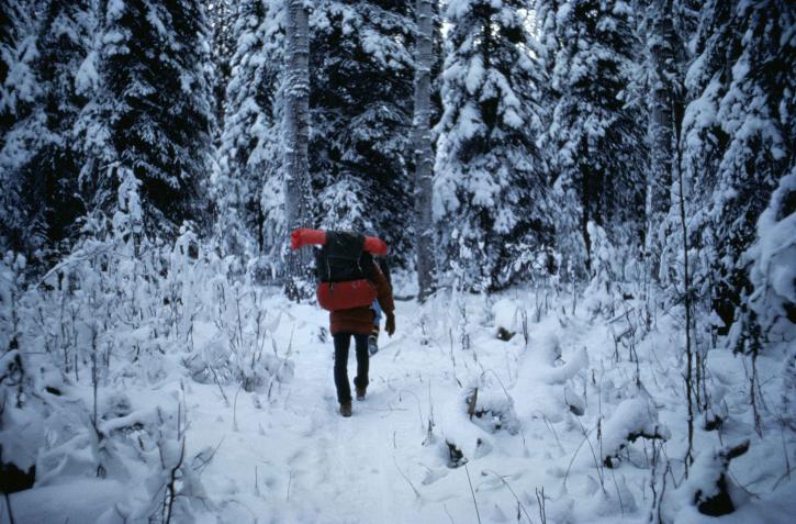 mannen, backpacking, promenader, skog, vinter