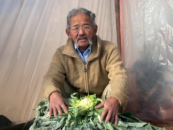mongolian, agriculteur, légume