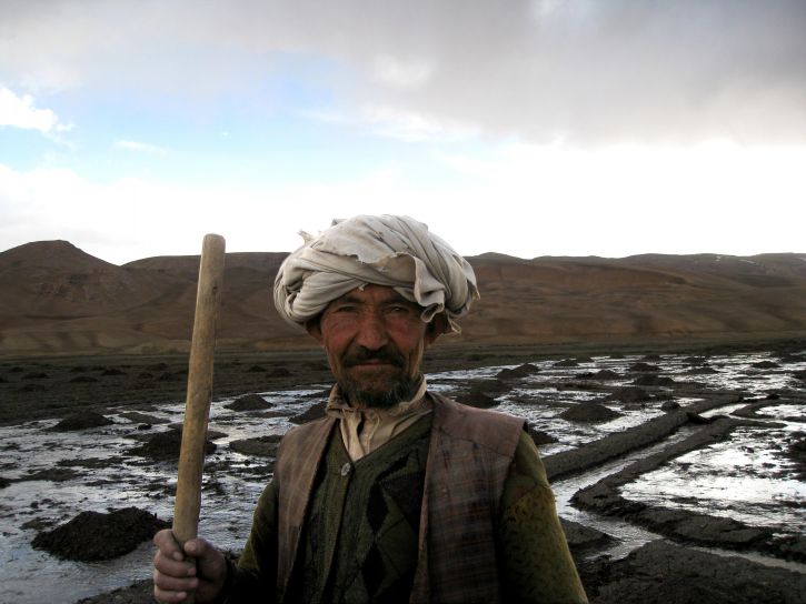 kartoffel, landmand, Bamiyan, provinsen, central, Afghanistan