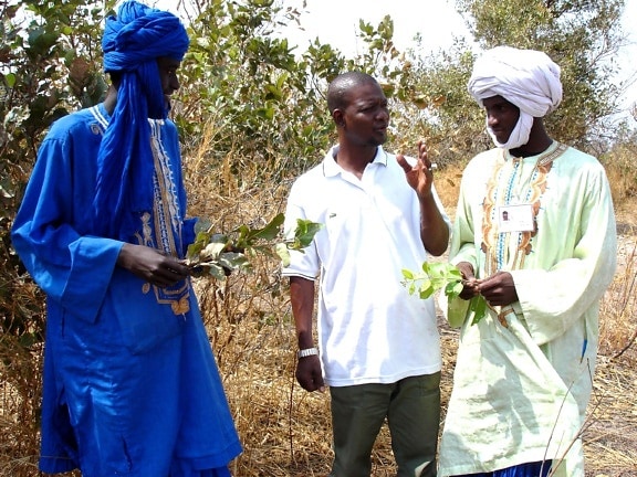 обучение, лес, охранники, Сенегал, поощрять, общины, защищать, общего, природные ресурсы