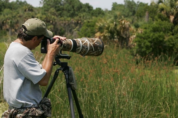 fotograf, przechwytuje, dzikich zwierząt, przyrody