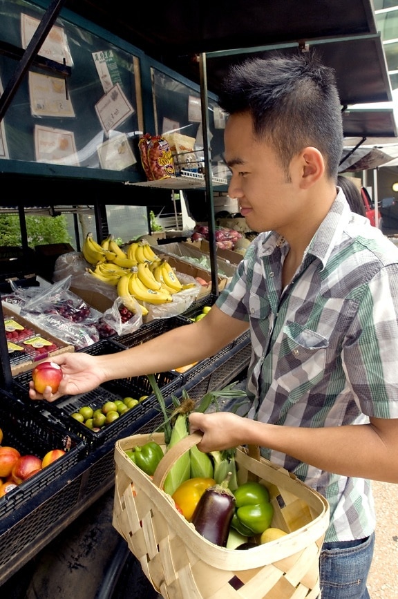 jeune asiatique, homme, choisir, rouge, orange, nectarines, les marchés, l'article,