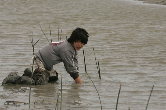 người đàn ông trẻ, wades, nước, tay, đầu gối, trồng, đầm lầy, cỏ
