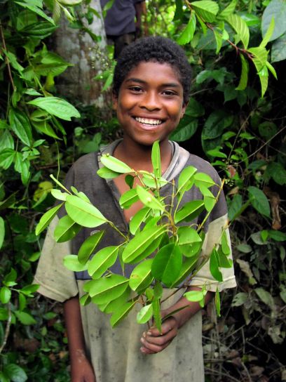 молодий, приємно, хлопчик, резидент, Bajo, міра, Frontera, Тропічний, ліс, зелене листя