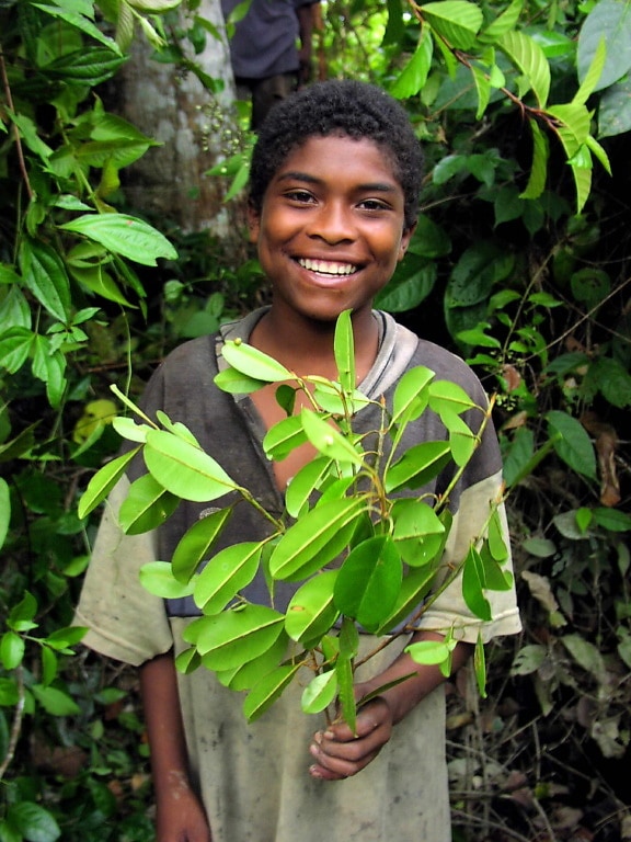 young, nice, boy, resident, Bajo, Mira, Frontera, tropical, forest, green leaves