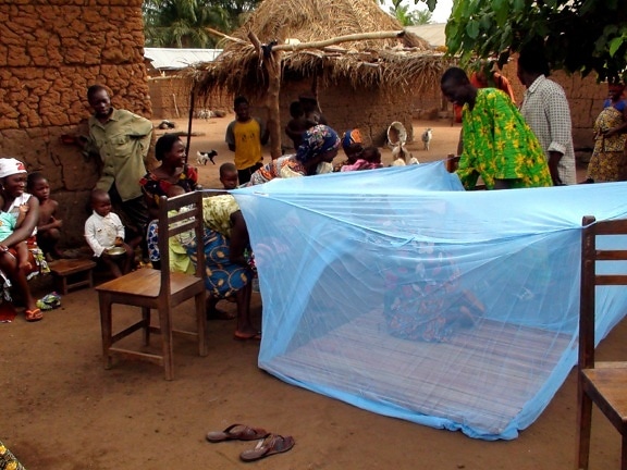 man, demonstrates, set, mosquito, bed, net, protect, getting, malaria