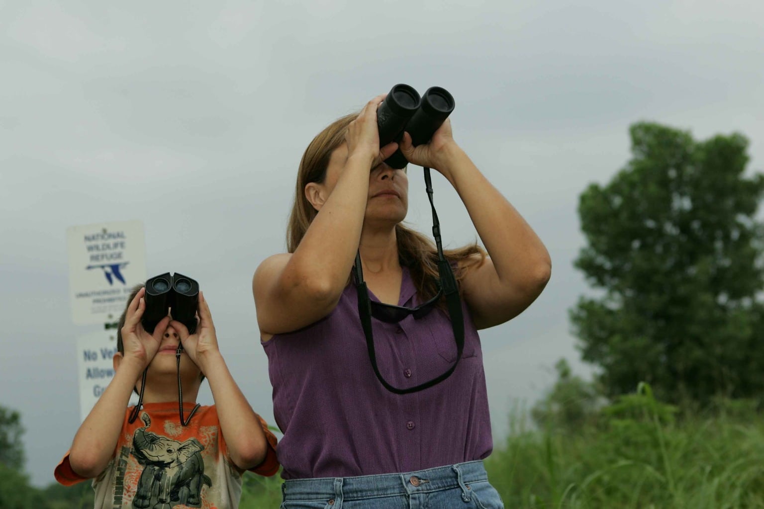 Очки для наблюдения за птицами от женщины. Реклама бердвотчинга фото. Совместный наблюдать