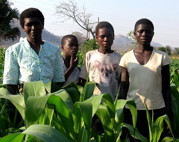 madre, tres, niños, de pie, de regadío, campo, Ntechu, Districit, Malawi