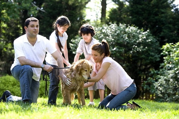 mother, father, children, washing, dog, Labrador, retriever, outside, fresh air