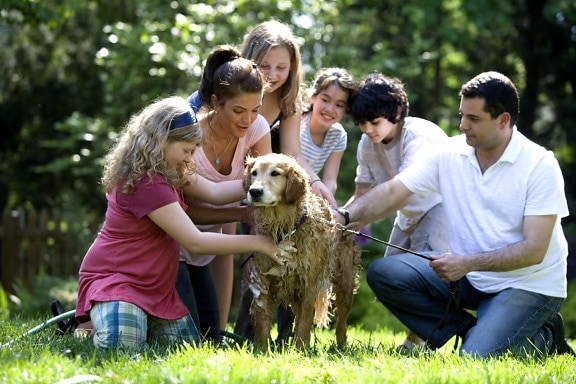 mother, father, four, children, dog, play, outside