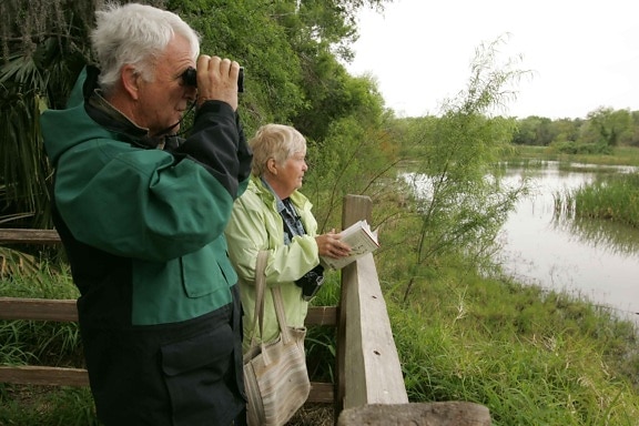 older couple, watching, observation, deck