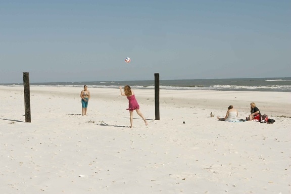 คนที่เพลิดเพลิน วัน เล่น ชายหาด ลูกบอล