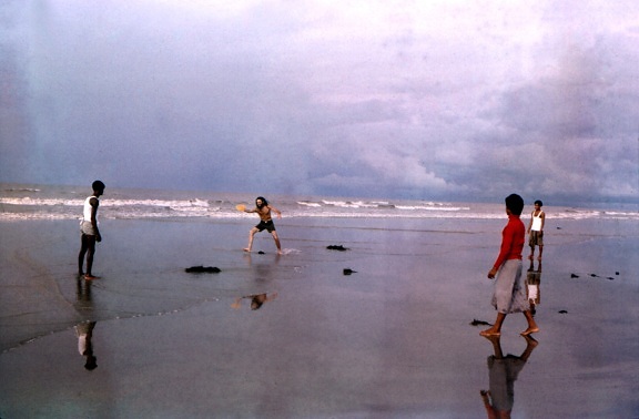 gry, frisbee, Brzeg morza, zatoki, bengalski