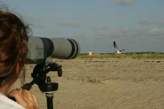 profesionálny fotograf, zachytáva, púšť, fotoaparát