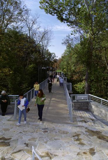students, walking, bridge