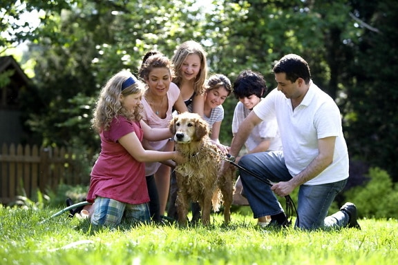 together, family, process, washing, Labrador, retriever, outside, fresh air