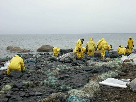 pekerja, membersihkan minyak tumpahan, Pantai